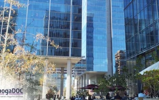 Como formar una empresa y no morir en el intento