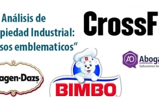 Bimbo Logo